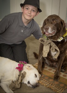 LGBT-wedding-caterer-Gareth-and-dogs